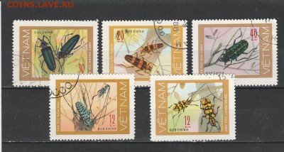 Насекомые (Вьет-Нам) до 1.06 в 22.00 - IMG_20160530_0013