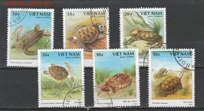 Черепахи (Вьет-Нам) до 1.06 в 22.00 - IMG_20160530_0018