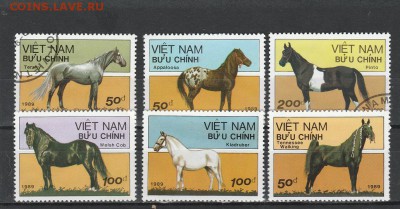 Кони (Вьет-Нам) до 1.06 в 22.00 - IMG_20160531_0003