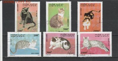 Коты (Вьет-Нам) до 1.06 в 22.00 - IMG_20160531_0005