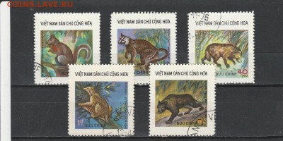 Животные (Вьет-Нам) до 1.06 в 22.00 - IMG_20160531_0007