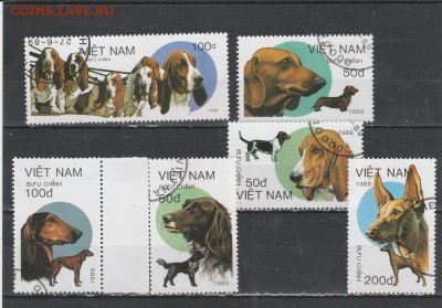 Собаки (Вьет-Нам) до 1.06 в 22.00 - IMG_20160531_0015