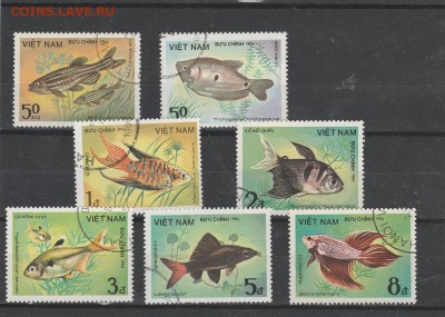 Рыбы (Вьет-Нам) до 1.06 в 22.00 - IMG_20160531_0016