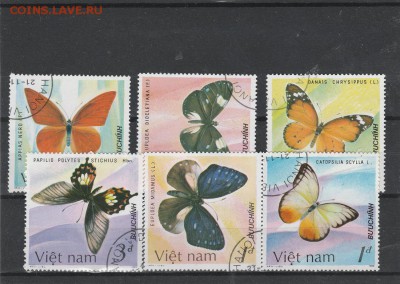 Бабочки (Вьет_Нам) до 1.06 в 22.00 - IMG_20160531_0017