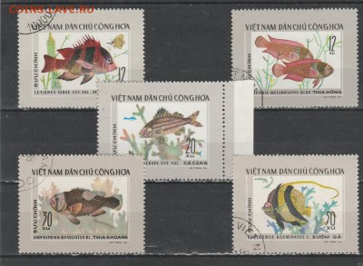 Рыбы (Вьет-Нам) до 1.06 в 22.00 - IMG_20160531_0018