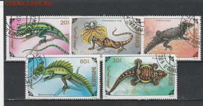 Ящерицы (Монголия) до 1.06 в 22.00 - IMG_20160531_0003