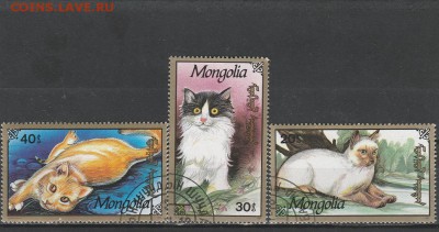 Коты (Монголия) до 1.06 в 22.00 - IMG_20160531_0004