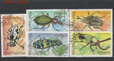 Жуки (Монголия) до 1.06 в 22.00 - IMG_20160531_0013