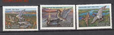 РФ 1992 утки - 65
