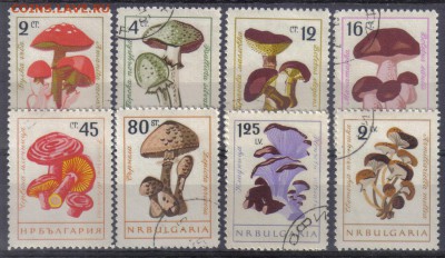 Болгария 1961г Грибы полн.серия до 2.06 22.00мск - Болгария 1961г Грибы полн.серия тв