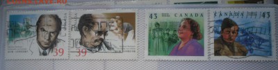 Помощь в оценке - SAM_4773.JPG