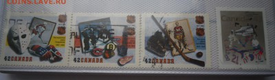 Помощь в оценке - SAM_4764.JPG