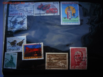 Помощь в оценке - SAM_4801.JPG
