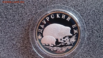 Красная книга 1999 Даурский Ёж до 5.06.2016 22.00МСК - DSC_1998[1]