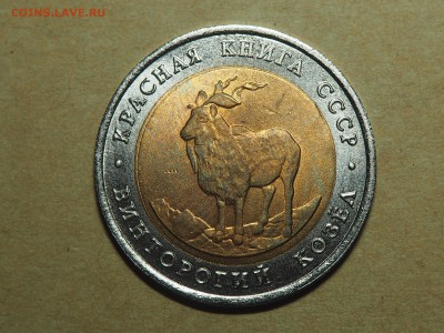 5 рублей 1991 КК Винторогий козел. до 03.06.16 в 22.00 - P5213535_thumb