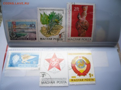 Помощь в оценке - SAM_4910.JPG