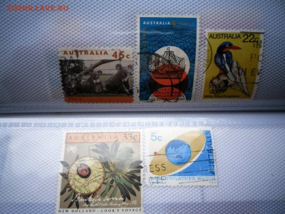 Помощь в оценке - SAM_4907.JPG