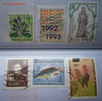 Помощь в оценке - SAM_4903.JPG