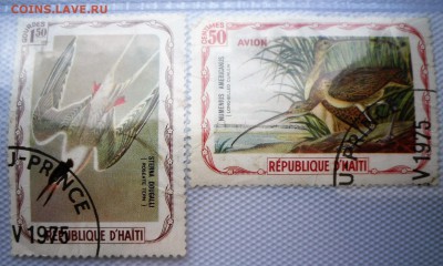 Помощь в оценке - SAM_4902.JPG