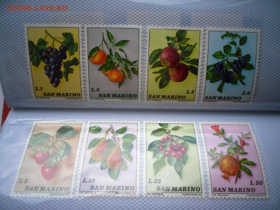 Помощь в оценке - SAM_4892.JPG