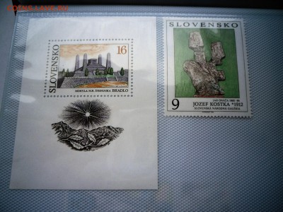 Помощь в оценке - SAM_4849.JPG