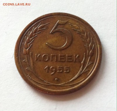 5 копеек 1955г. до 07.06.16г. - 555-2.JPG