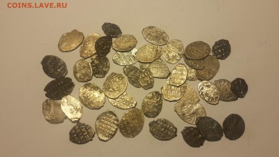 41 чешуйка до 5.06.2016 22-00 - 1464809107145717023314