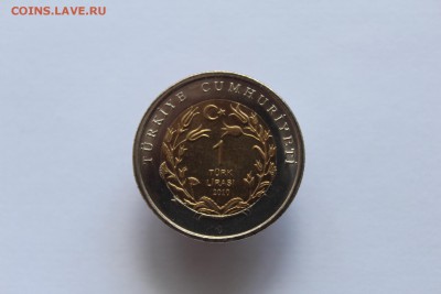 Турция 1 лира Кошка 2010 до 22:00 04.06.16 №1 - IMG_2529.JPG