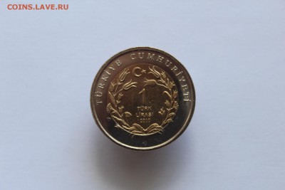 Турция 1 лира Кошка 2010 до 22:05 04.06.16, лот №2 - IMG_2545.JPG
