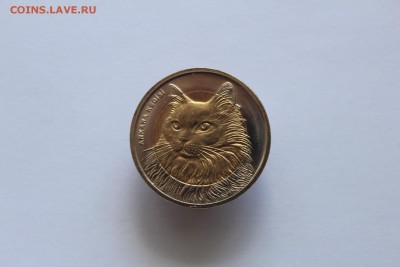 Турция 1 лира Кошка 2010 до 22:05 04.06.16, лот №2 - IMG_2539.JPG