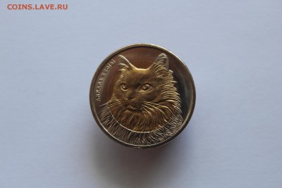 Турция 1 лира Кошка 2010 до 22:10 04.06.16 лот №3 - IMG_2559.JPG