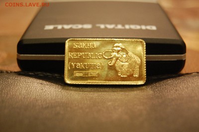 Золото Саха Республика Якутия предпродажная - DSC_0916.JPG