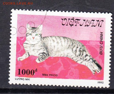 Вьетнам 1990 кошка - 171