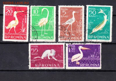 Румыния 1957 фауна - 172