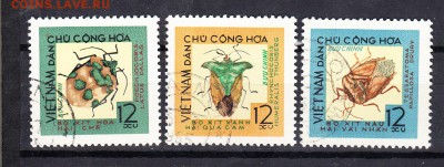 Вьетнам жуки 1965 - 175