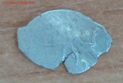 Изделия из убитой чешуи - чешуя