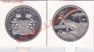 ЖИВОТНЫЕ №3 до 23.00 моск 16.11.2010 - животное_0003