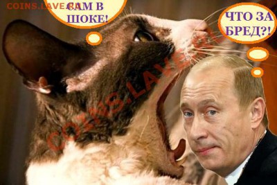 юмор - бред - копия