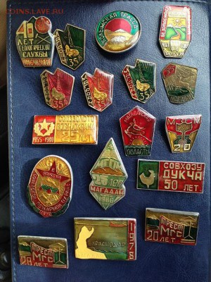 Ищу знаки в заливке ИТК-6, Магадан - IMG_9858.JPG