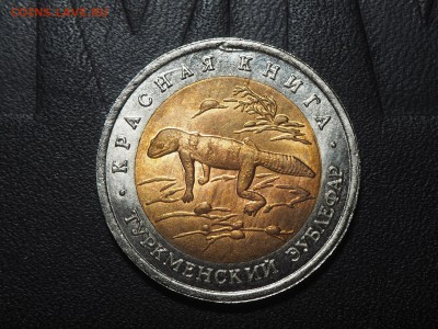 50 рублей 1993. Туркменский зублефар. до 05.06.2016 в 22.00 - P6034047_thumb