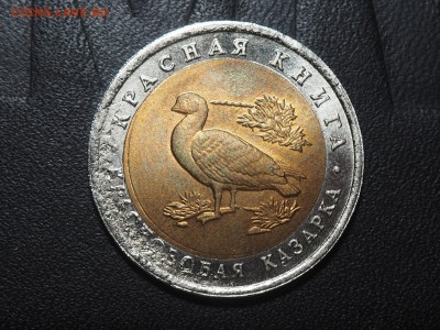 10 рублей 1992 Казарка С 200 до 06.06.16 в 22.00 - P6034074_thumb