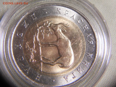 Джейран раскол? - DSCN9976.JPG