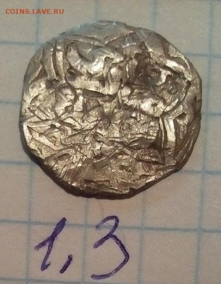 Створка от энколпиона до 4.06.16г в 22 00 - дихрем.JPG