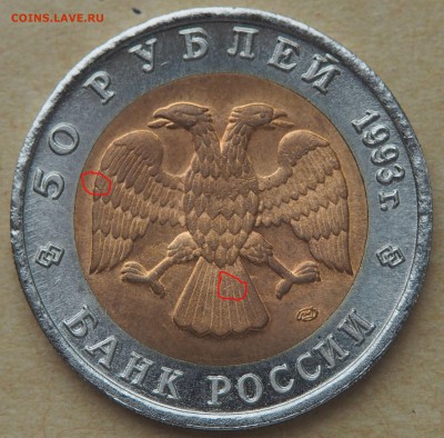 50 рублей 1993. Туркменский зублефар. до 05.06.2016 в 22.00 - зублефар2
