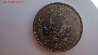 ШРИ-ЛАНКА 2 РУПИИ 1995 Г. ФАО - DSC02256.JPG