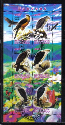 Конго мл 2012г Соколы до 6.06 22.00мск - Конго мл 2012г Соколы