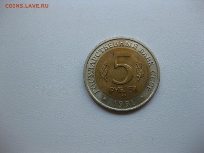 Винторогий козёл)!до 6.06.2016 - IMG_4150.JPG