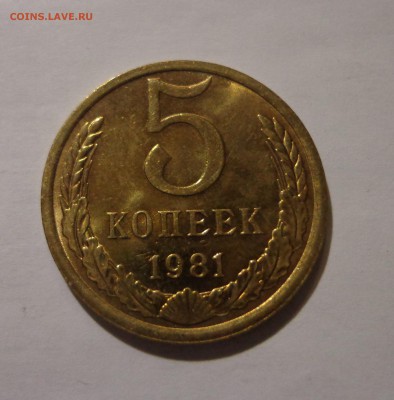 5 коп. 1981 - DSC01369.JPG