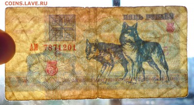 Беларусь 5 рублей 1992г до 9.06.2016 22:00 (мск) - P1050556.JPG