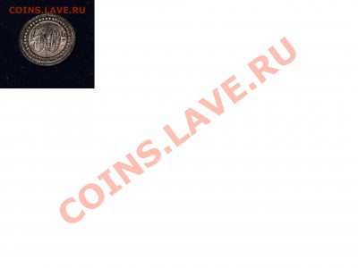 Что за муха??? Опознайте и оцените? - Безымянный.JPG